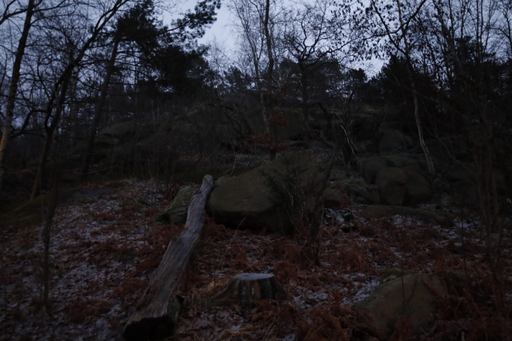 En skogsbacke med många klippor och en trädstam på marken.